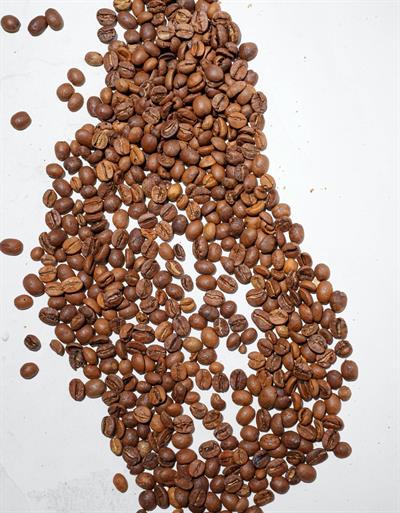 Brezilya Cerrado Arabica Kavrulmuş Kahve