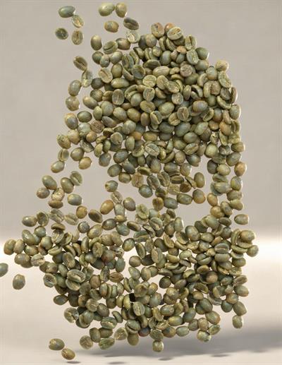 Colombia Arabica Supremo Yeşil Kahve – 1 Çuval 60 kg