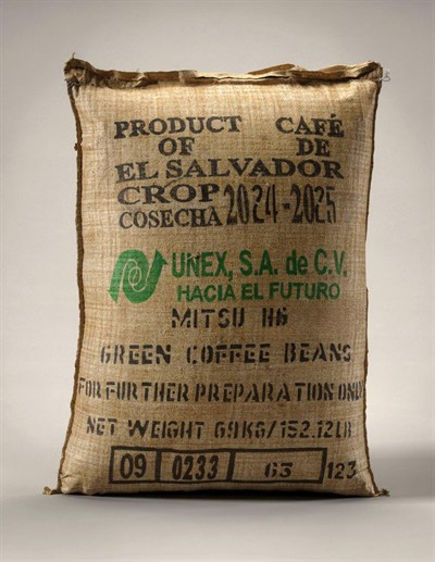 El Salvador Arabica SHG Green Coffee Beans – 1 Sack 60 kg