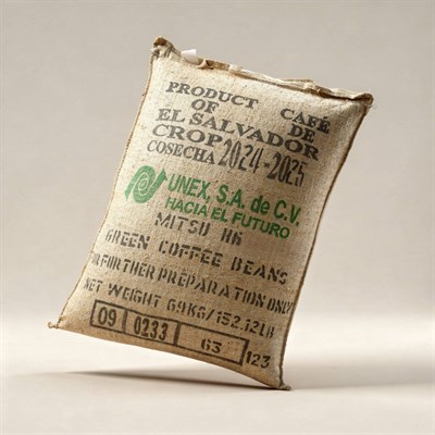El Salvador Arabica SHG Green Coffee Beans – 1 Sack 60 kg