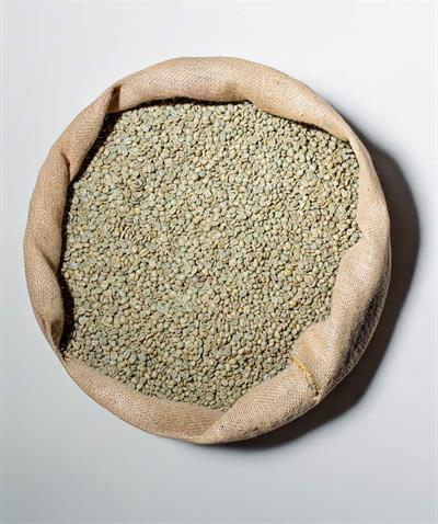 India Plantation Arabica AA Yeşil Kahve – 1 Çuval 60 kg