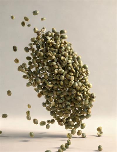 Hindistan Plantation Arabica AAA Yeşil Kahve – 1 Çuval 60 kg