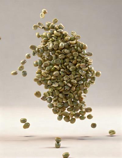 Kosta Rika Arabica SHB Yeşil Kahve – 1 Çuval 60 kg