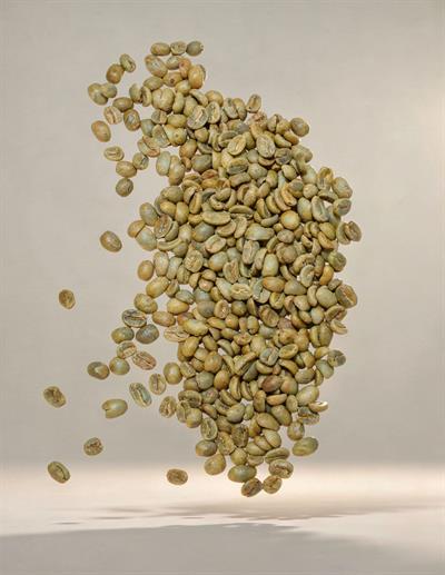 Peru Arabica SHG Yeşil Kahve – 1 Çuval 60 kg