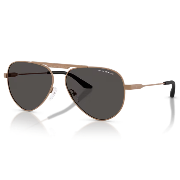 ARMANI EXCHANGE 0AX2060S 610687 58
