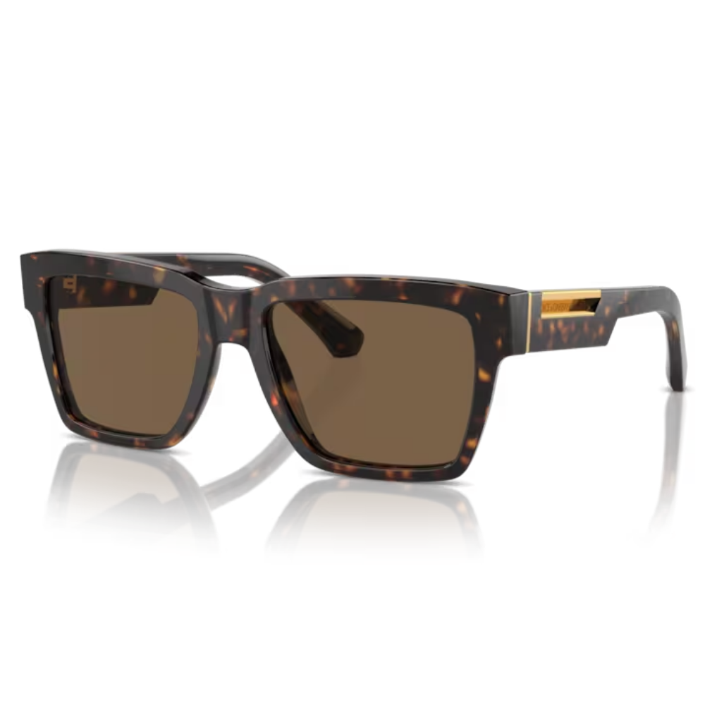 DOLCE & GABBANA DG 4465 502/73 55