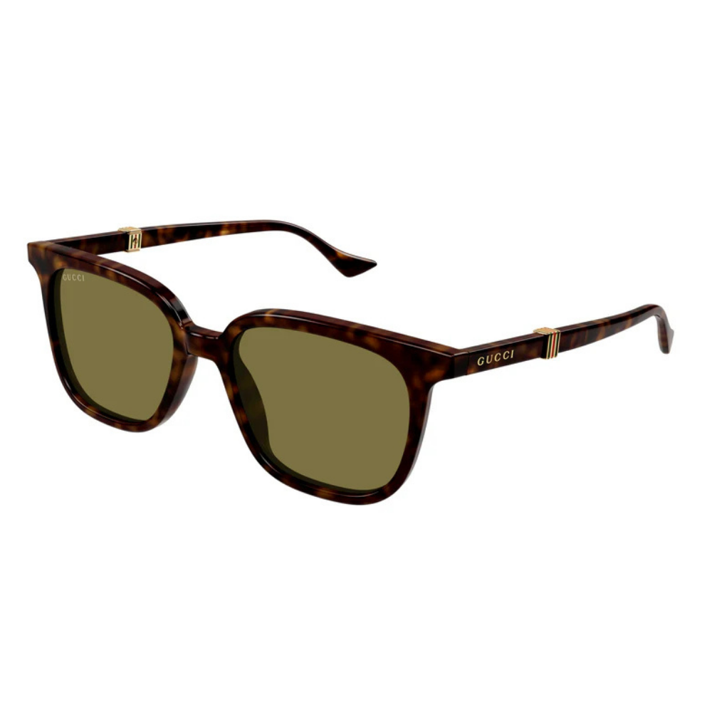 GUCCI GG1493S 002 HAVANA 54
