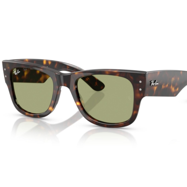 Ray-Ban 0RB0840S 51
