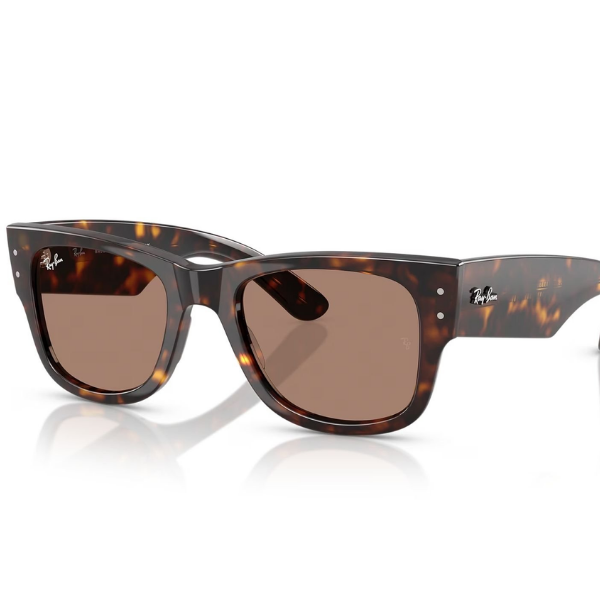Ray-Ban 0RB0840S 902/1A 51