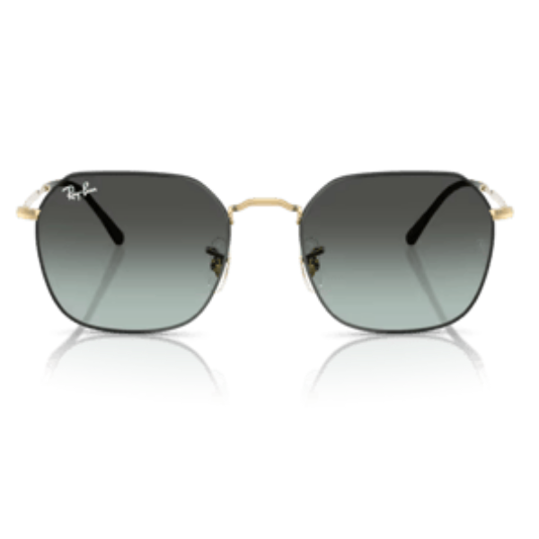 Ray-Ban 0RB3694 53
