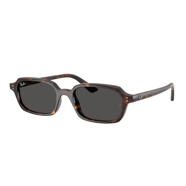 Ray-Ban 0RB4455 135987 49