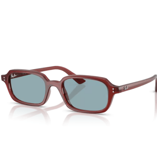 Ray-Ban 0RB4455 680980 49