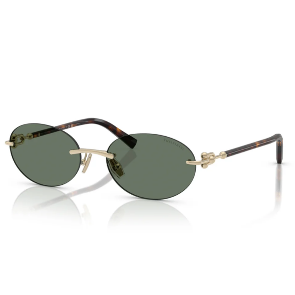 TIFFANY & CO. 0TF3104D 623882 56