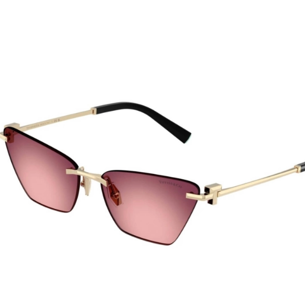 TIFFANY & CO. 0TF3120 62428H 61