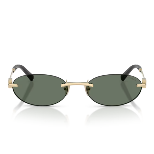 TIFFANY & CO. 0TF3119D 623882 56