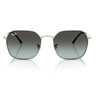 Ray-Ban 0RB3694 53