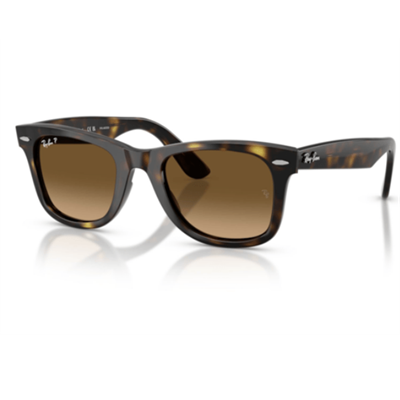 Ray-Ban 0RB4340 50