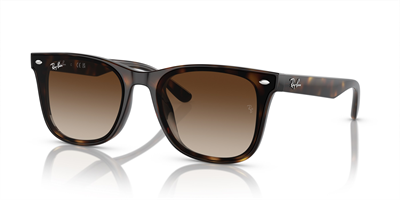 Ray-Ban 0RB4420 710/13 65