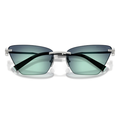 TIFFANY & CO. 0TF3120 60019S 61
