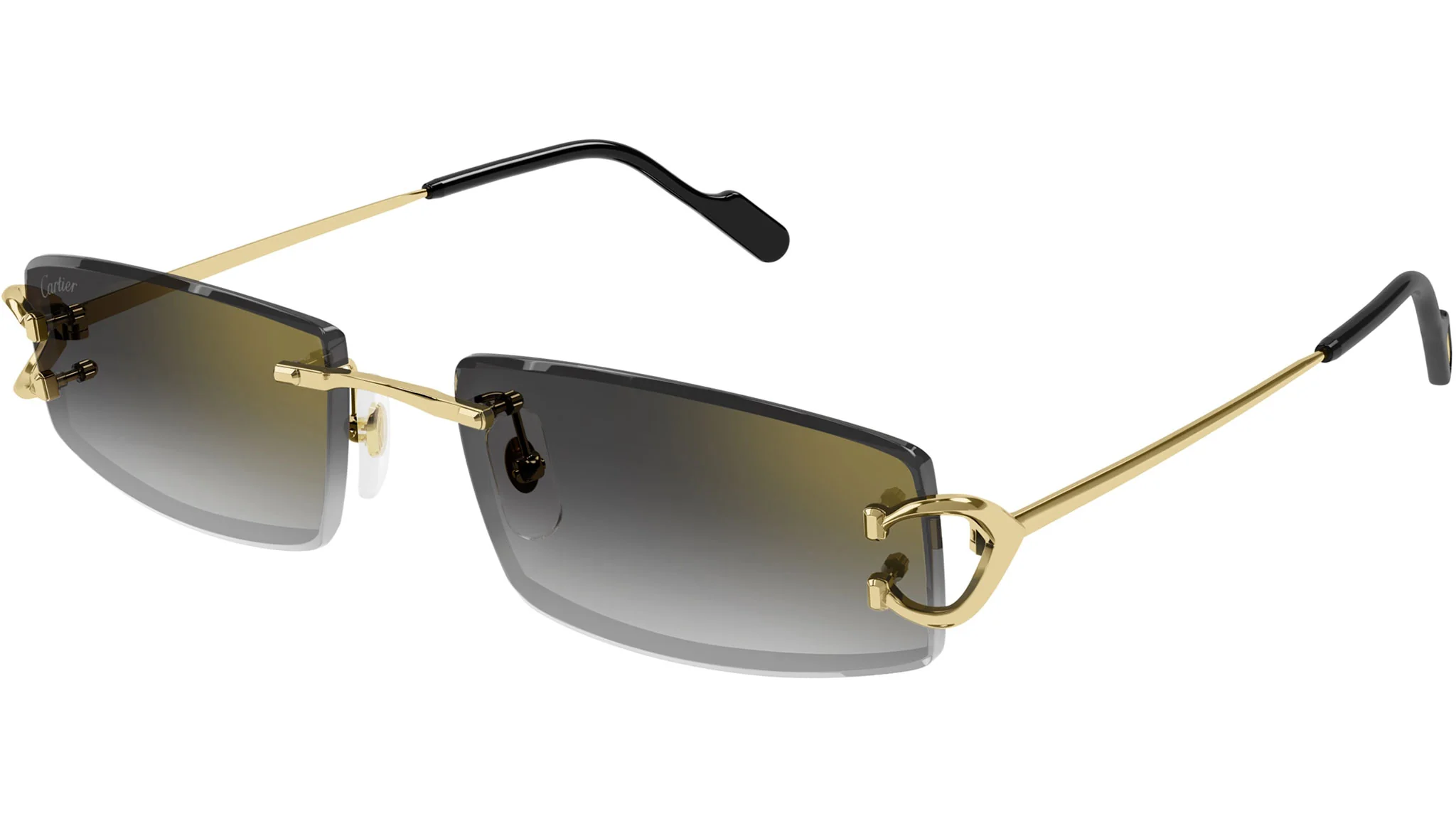 CARTIER CT0465S 001 56