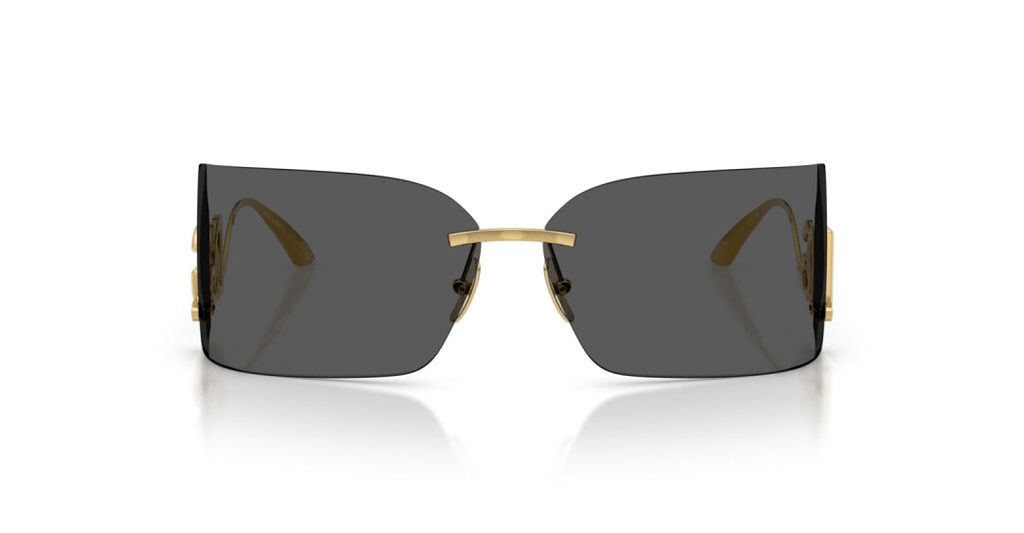 DOLCE & GABBANA 0DG2319 02/87 79