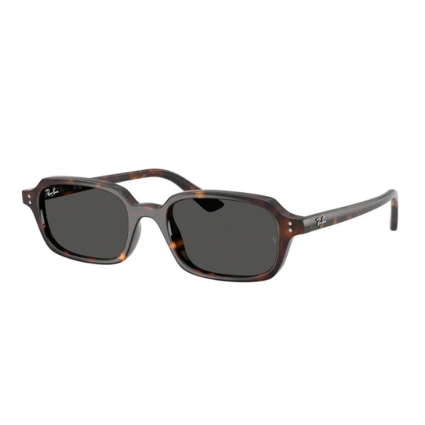 Ray-Ban 0RB4455 135987 49