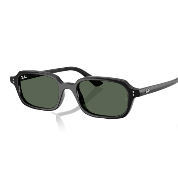 Ray-Ban 0RB4455 667771 49