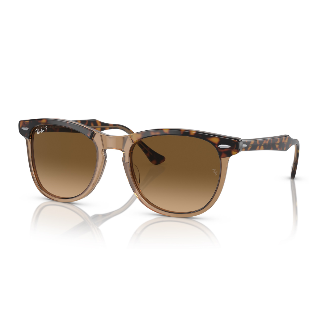 Ray-Ban RB 2398 EAGLEEYE 1292/M2 53