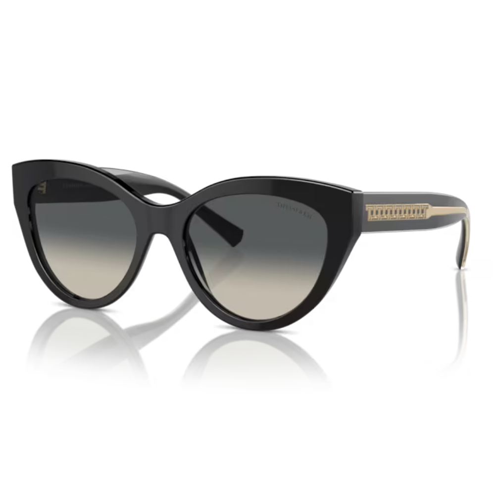 TIFFANY & CO. TF 4220 8001/71 54