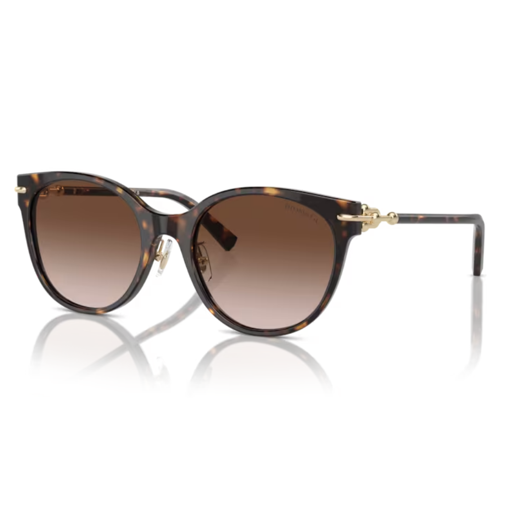 TIFFANY & CO. TF 4223-D 8015/3B 54