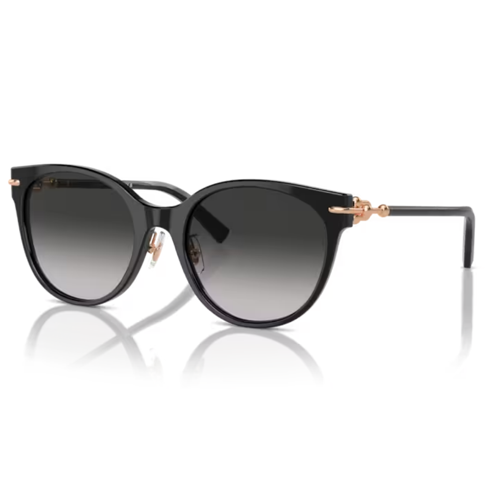 TIFFANY & CO. TF 4223-D 8001/3C 54