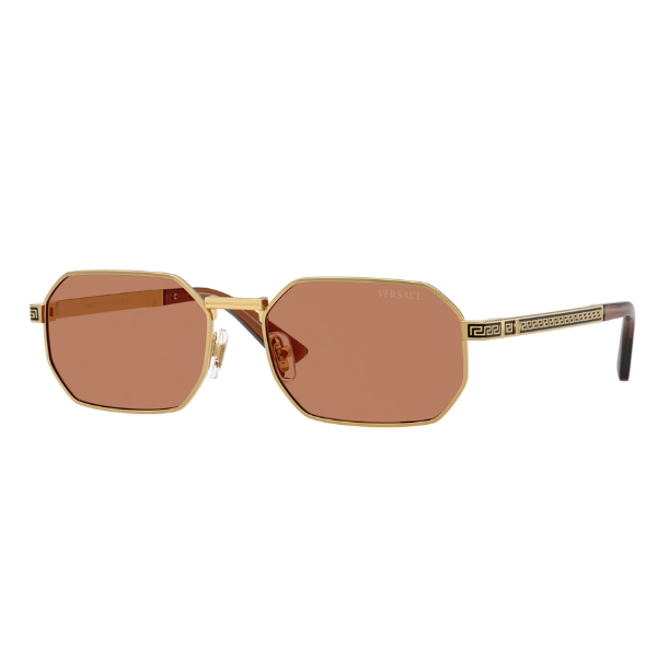 VERSACE 0VE2297 100273 54