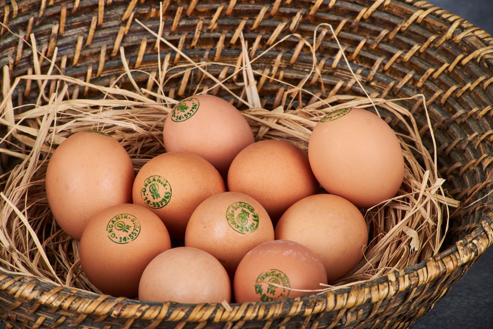 AYVAT A SINIFI ORG YUMURTA 10 LU