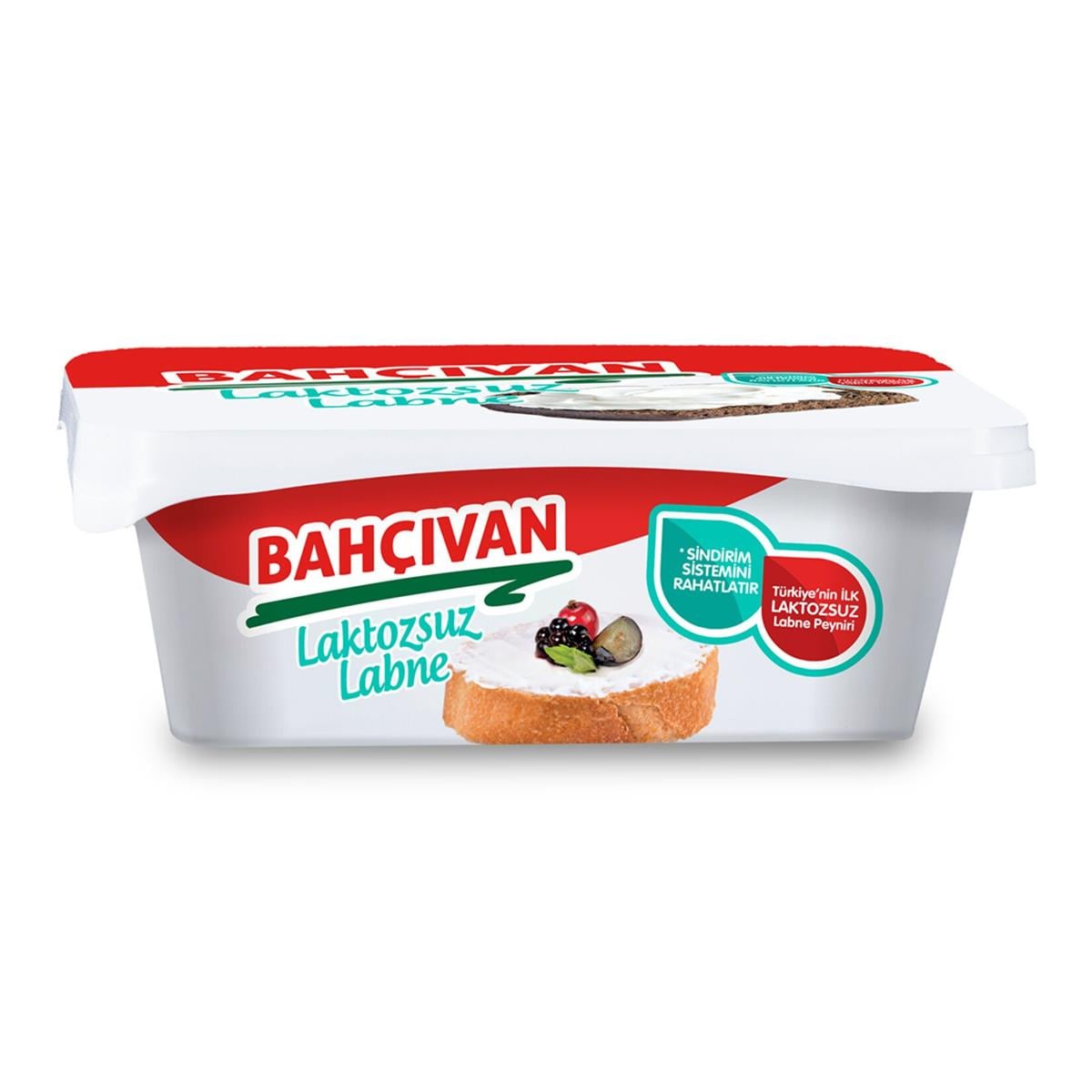 BAHCIVAN LABNE LAKTOZSUZ 200 GR