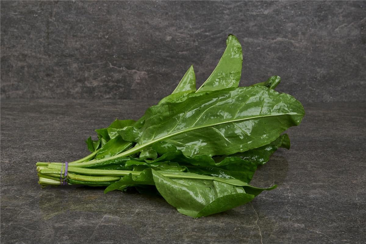 MNV.KUZU KULAGI ADET