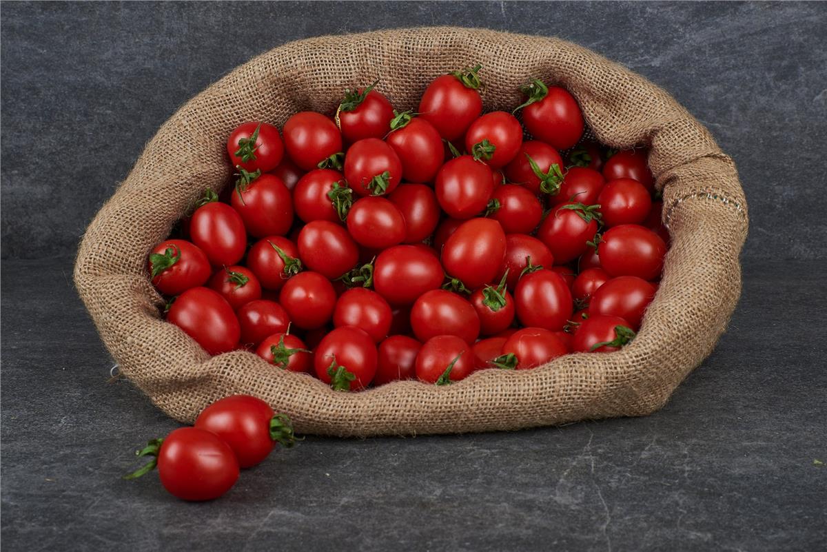 MNV.DOMATES KOKTEYL KG