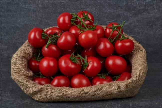 MNV.DOMATES SALKIM KG