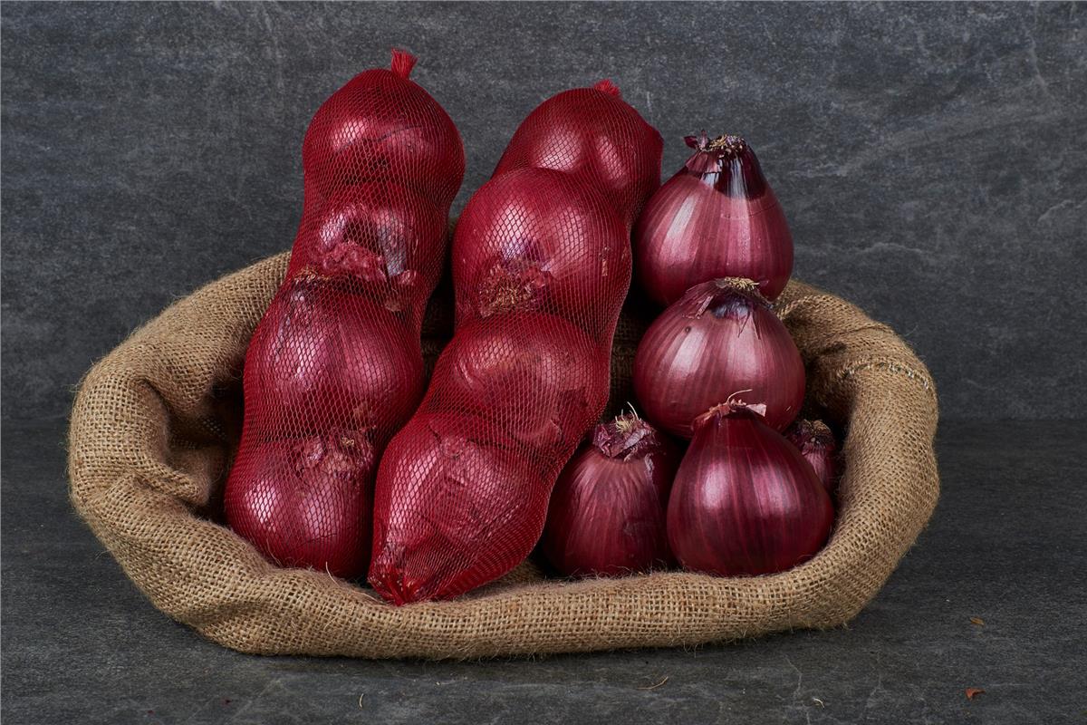 MNV.SOGAN KIRMIZI KG