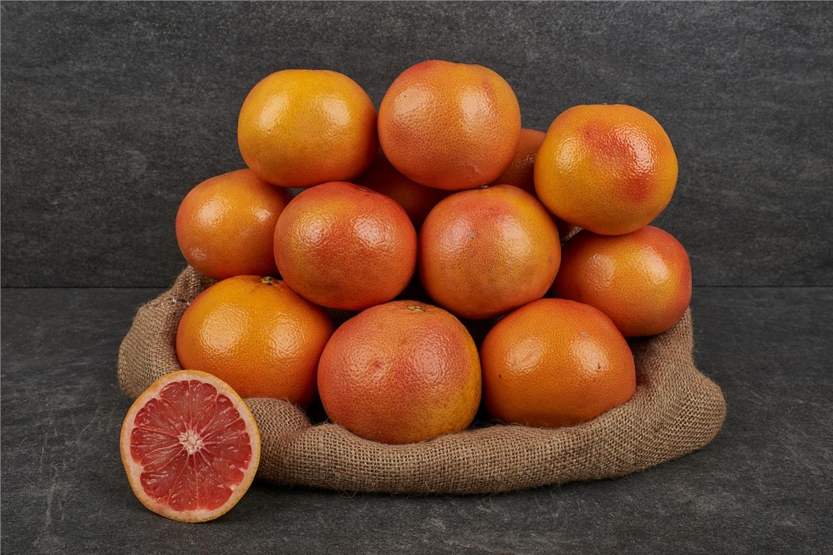 MNV.GREYFURT KANLI KG.