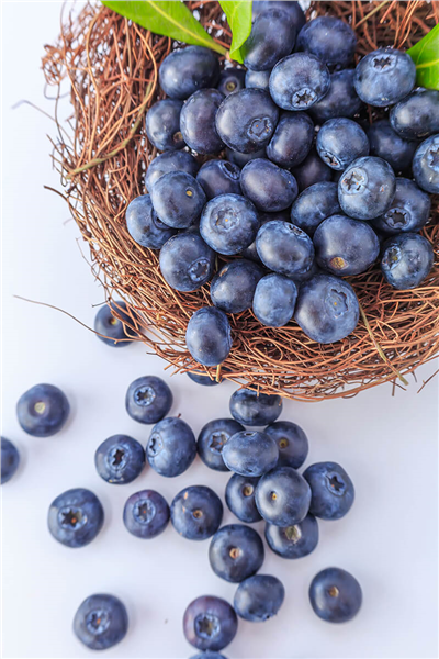 PERLA FRUIT YABAN MERSİNİ 200GR