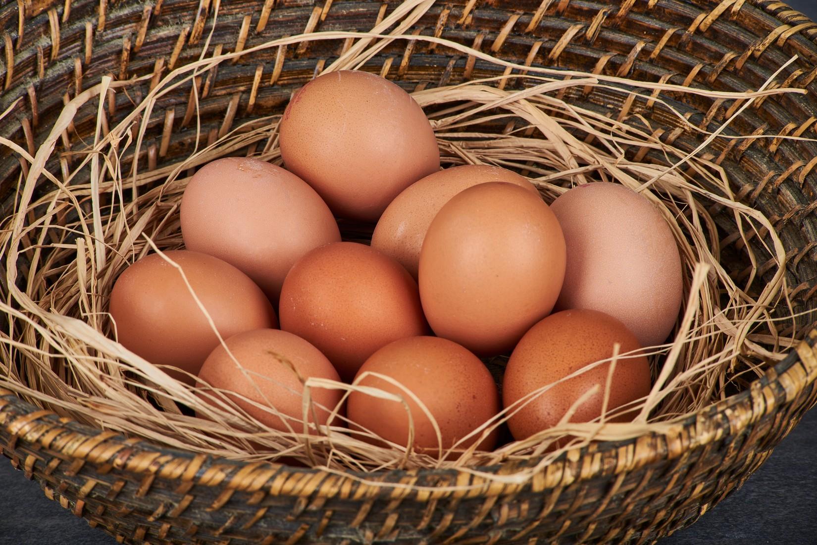 BANDIRMA YUMURTA 15 Li