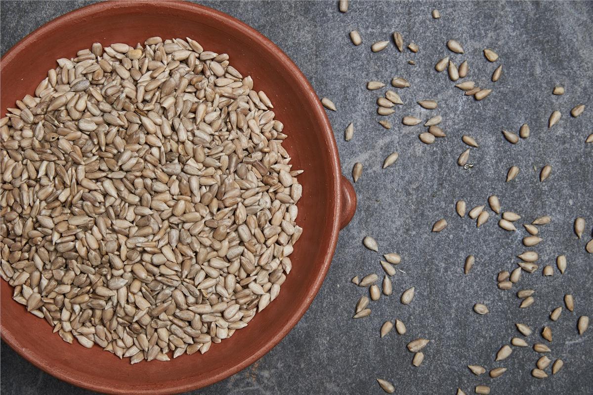 CIG IC AY CEKIRDEK KG