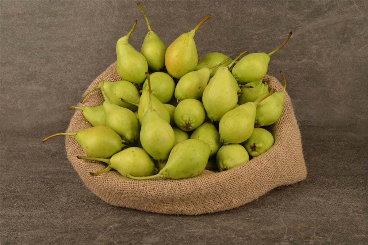 MNV.ARMUT AKCA KG