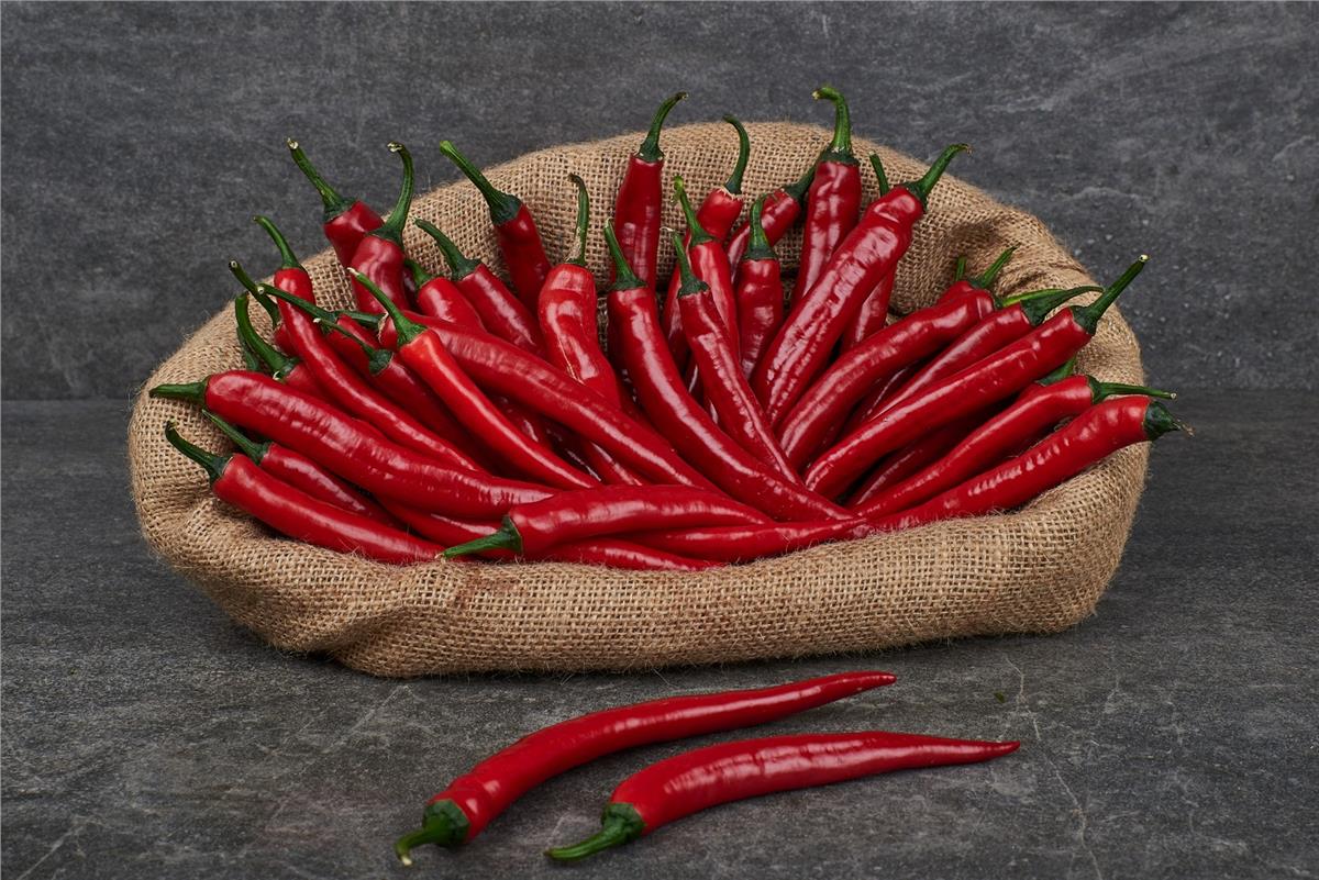 MNV.BIBER ACI KIRMIZI KG