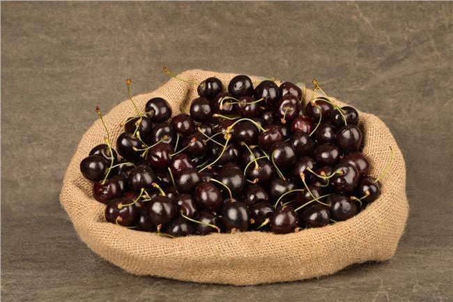 MNV.KIRAZ SALIHLI KG