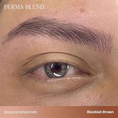 Perma Blend - Light to Dark Eyebrow Mini Set - 4lü Kalıcı Makyaj Boya Seti - 15 ml