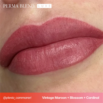 Perma Blend Luxe Vintage Maroon Dudak Pigmenti (0,5 oz / 15 ml)