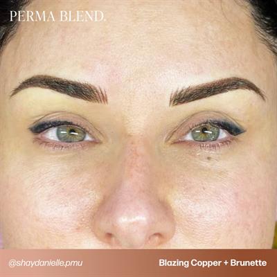 Perma Blend - Light to Dark Eyebrow Mini Set - 4lü Kalıcı Makyaj Boya Seti - 15 ml