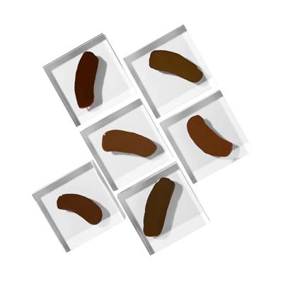 Perma Blend Luxe - Paulina Osinkowska Collection Ombre Brows Set - 6lı Kalıcı Makyaj Boya Seti - 15 ml