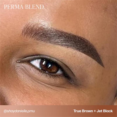 Perma Blend Jet Black Sıcak Alt Tonlu Siyah Eyeliner Pigmenti 15ml